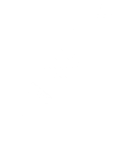 Illustration of a syringe